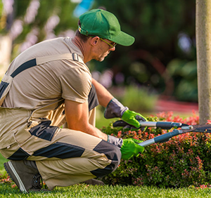 Servicio de jardinería